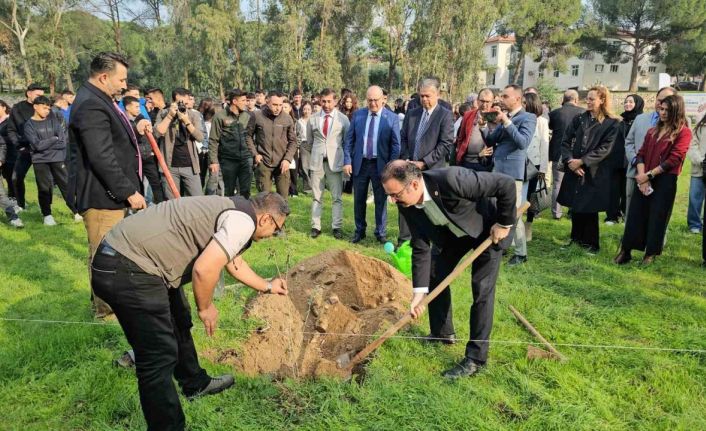 Sultanhisar’da fidanlar toprakla buluştu
