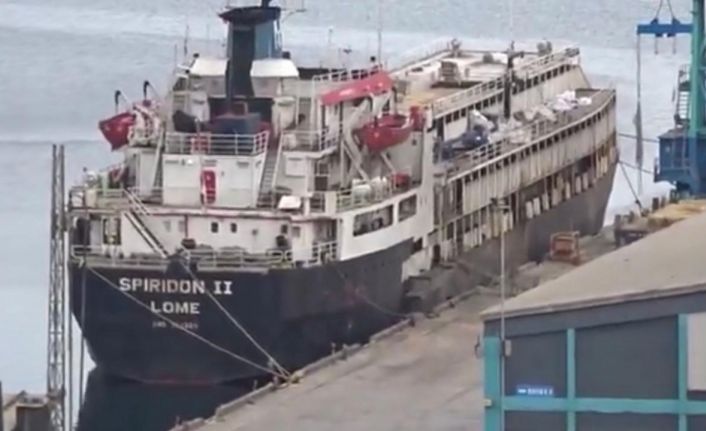 Susuzluktan boru yalayan inekler