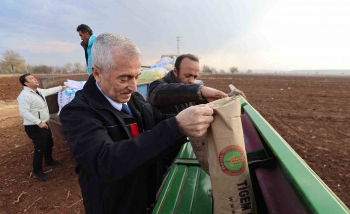 Tahmazoğlu dağıttığı tohumları çiftçilerle ekti