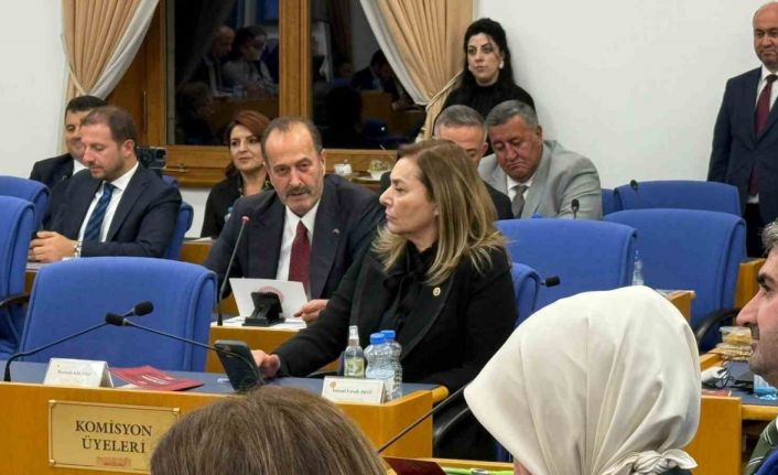 Tamer Osmanağaoğlu’ndan bütçe görüşmelerinde Aliağa vurgusu