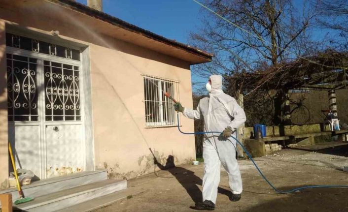 Tarım ve Orman İl Müdürlüğü’nden ‘Kahverengi Kokarca’ çağrısı