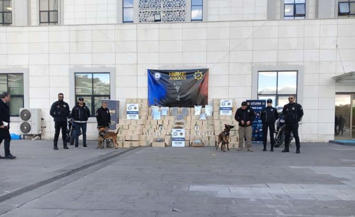 Tayland’dan Türkiye’ye 1 buçuk tonluk skunk sevkiyatı narkotik polisine takıldı