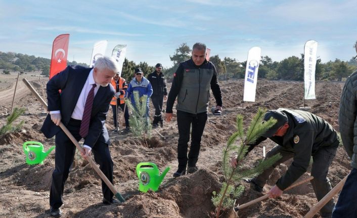 TEI’den 17 bin fidanlık 40. Yıl Hatıra Ormanı