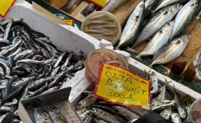 Tekirdağ’da balık tezgahlarına sıkı denetim: Boy ölçümleriyle sürdürülebilir avcılığa destek