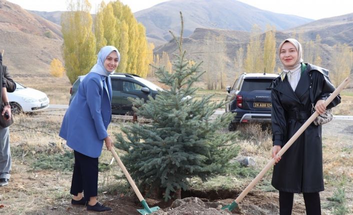 Tercan’da fidanlar toprakla buluştu