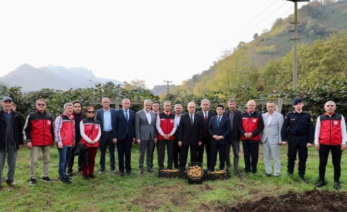 Tescilli Ordu kivisinde hasat başladı: İlin ekonomisine 520 milyon TL katkı