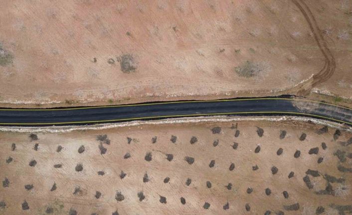 Tillo’da 8 bin 400 metrelik asfalt çalışması tamamlandı