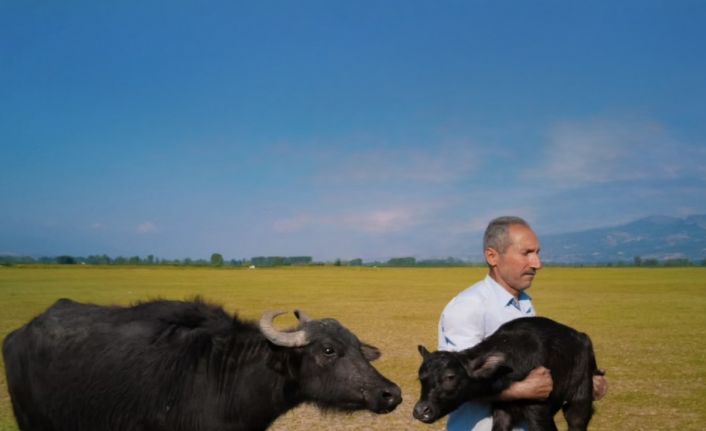 Tokatlı fırın ustasının Paris’teki ödül sevinci vize engeline takıldı
