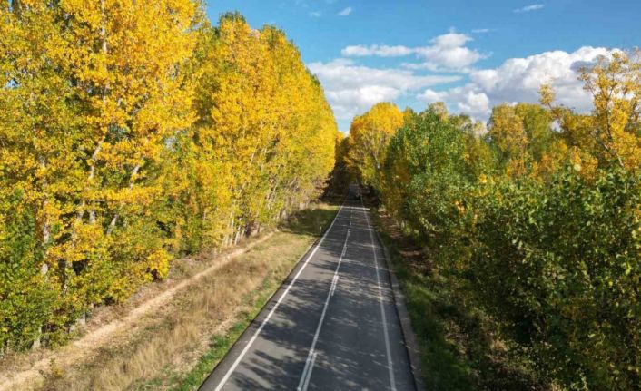 Tokat’ta belediyenin yaprakları temizlemediği parklarda renk cümbüşü oluştu