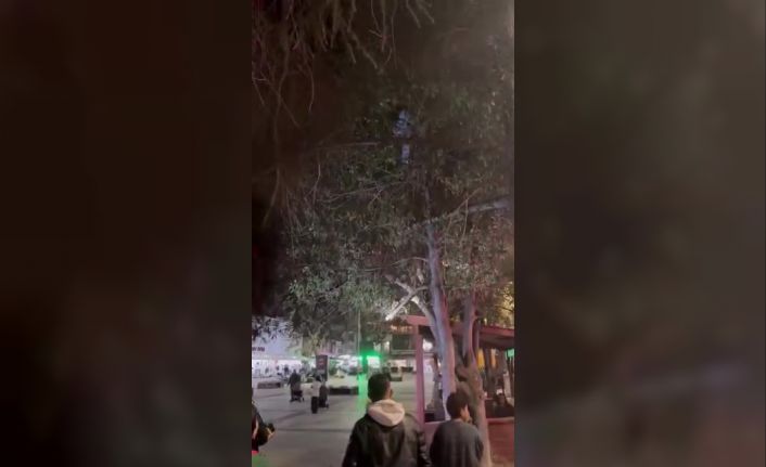 Topunu almak için çıktığı ağaçtan inemeyen çocuğun yardımına itfaiye yetişti