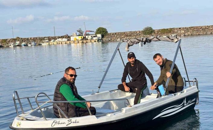 Trabzon kıyılarında köpek balığı hareketliliği arttı