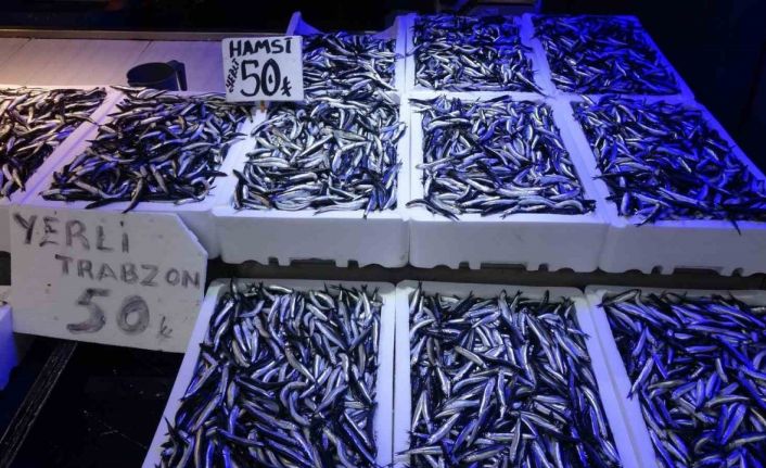 Trabzonlular hamsiye doydu