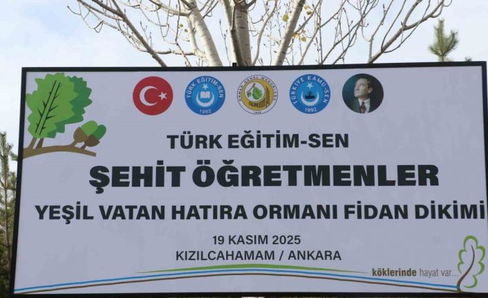 Türk Eğitim-Sen Genel Başkanı Geylan: "Maalesef her yıl on binlerce hektarımız yanıyor"