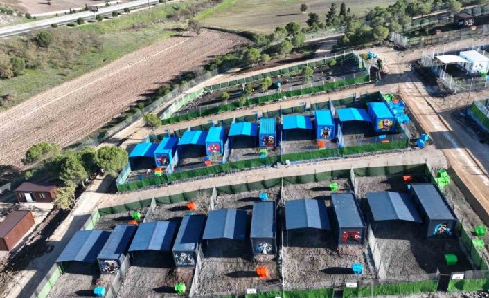 Türkiye’de ilk defa özel can dostlara sıcak yuva Balıkesir’de