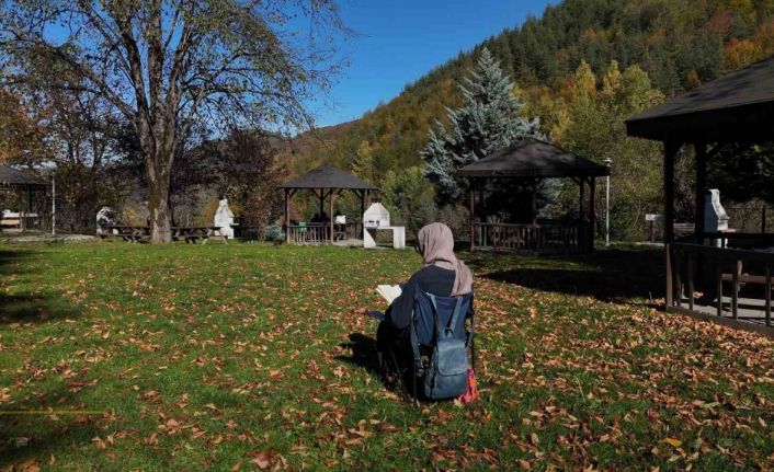 Türkiye’nin tek "cadı kazanı" şelalesinde sonbahar manzaraları