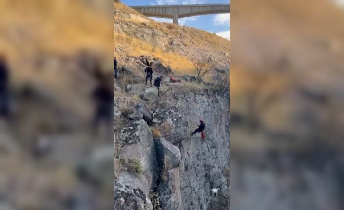 Uçurumda mahsur kalan keçi kurtarıldı