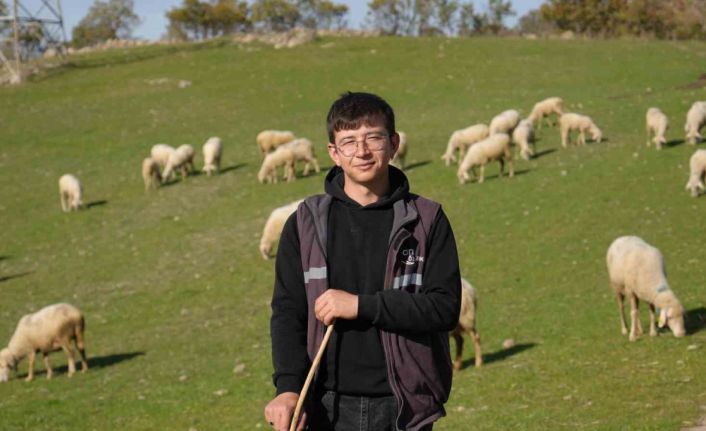 Üniversiteyi okudu, baba ocağına dönüp sürü sahibi oldu