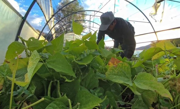 Ünlü şeflerin vazgeçilmez lezzeti: İspir Fasulyesi dünyayı fethediyor