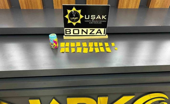 Uşak’ta çok sayıda uyuşturucu madde ele geçirildi