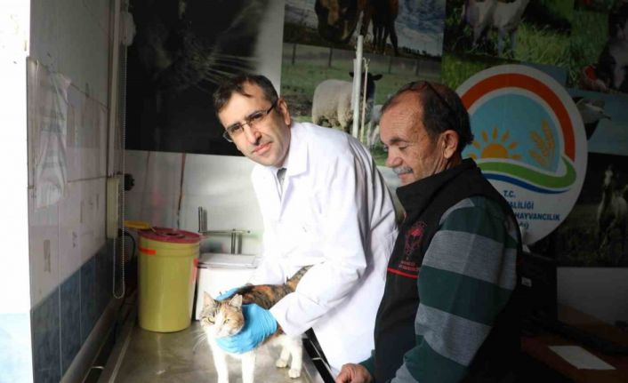 Uşak’ta kedi ve köpek sahiplerine mikroçip uyarısı