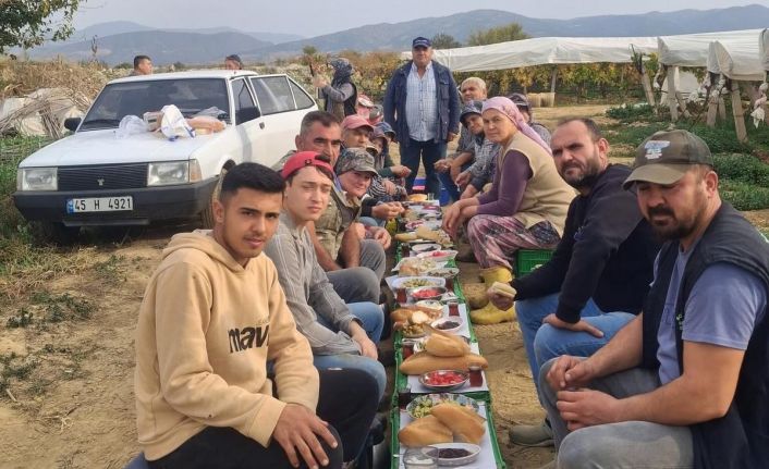 Üzüm alıcısından işçilere ziyafet