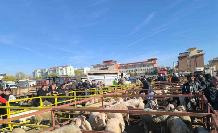 Uzun süredir kapalı olan canlı hayvan pazarı açıldı