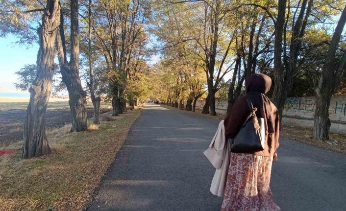 Van’da sonbahar renk cümbüşü