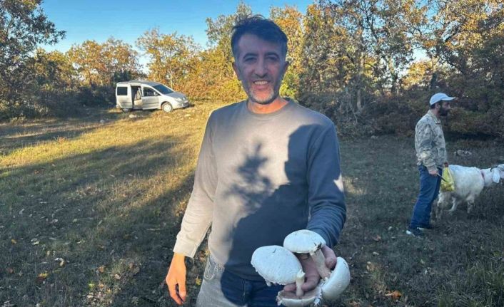 Yağışlar sonrası ormanlarda mantar patlaması yaşandı