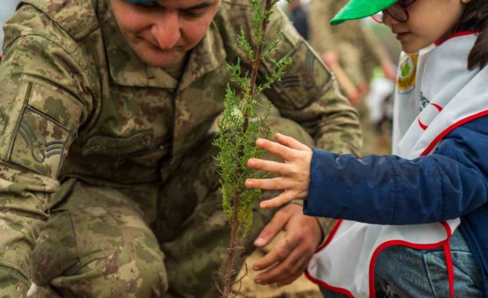Yangında küle dönen ormanları minik eller yeşertecek