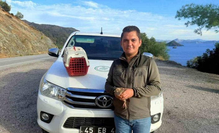 Yasadışı Kınalı Keklik satışına 28 bin TL ceza