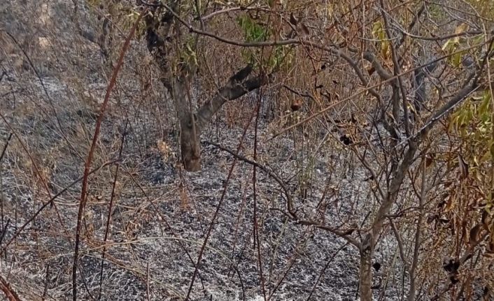 Yaşlı adam, bahçesini temizlerken yangında hayatını kaybetti