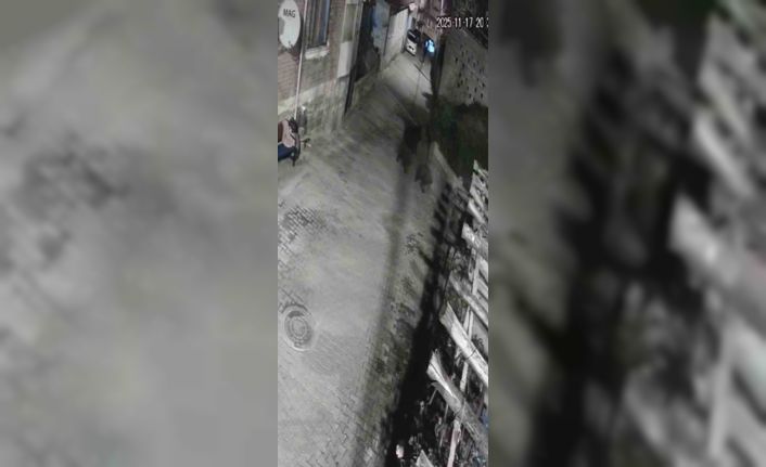 Yerleşim alanına inen ayılar köy sakininden korkup kaçtı