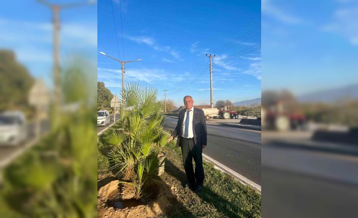 Yeşil Sultanhisar için ağaçlandırma çalışmaları sürüyor