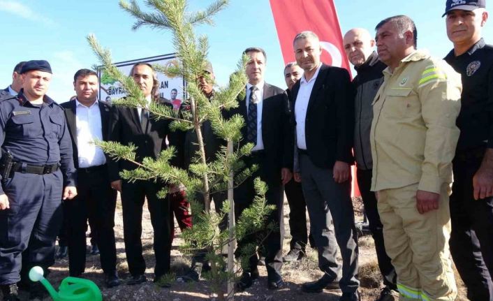 Yeşil Vatan Şehidi Bayram Eren Arslan adına Sorgun’da hatıra ormanı oluşturuldu