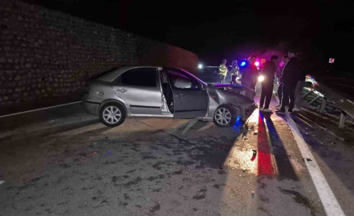 Yola çıkan yaban hayvanı kazaya neden oldu: 4 yaralı