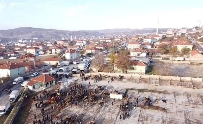 Yozgat’ta 2 aydır kapalı olan hayvan pazarı açıldı