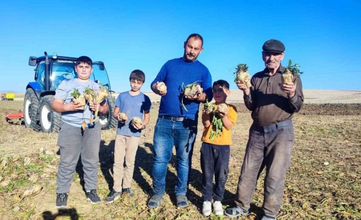 Yozgat’ta pancar mesaisi sürüyor, 6 aylık emeğin ürünleri yüzleri güldürüyor