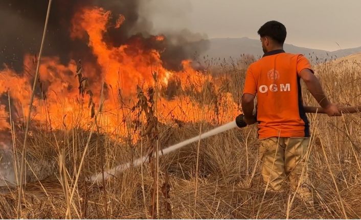 Yüksekova kuş cenneti alevlere teslim: Yangın kontrol altına alınamıyor