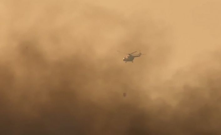 Yüksekova’nın kuş cennetindeki yangına havadan müdahale