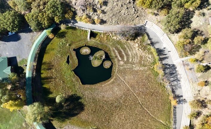 Yüzen Adalar’da sonbahar güzelliği