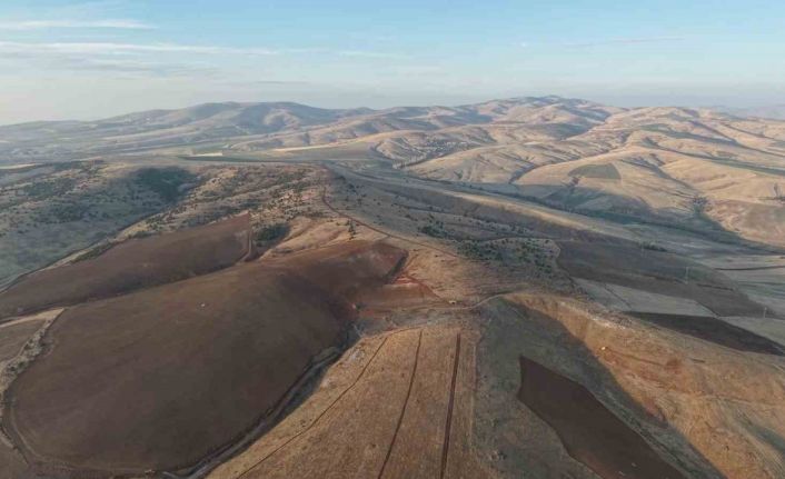Yüzlerce ağacın kesilmesine vatandaşlardan tepki: "40 yılda büyüdü, 4 gün de yok edildi"
