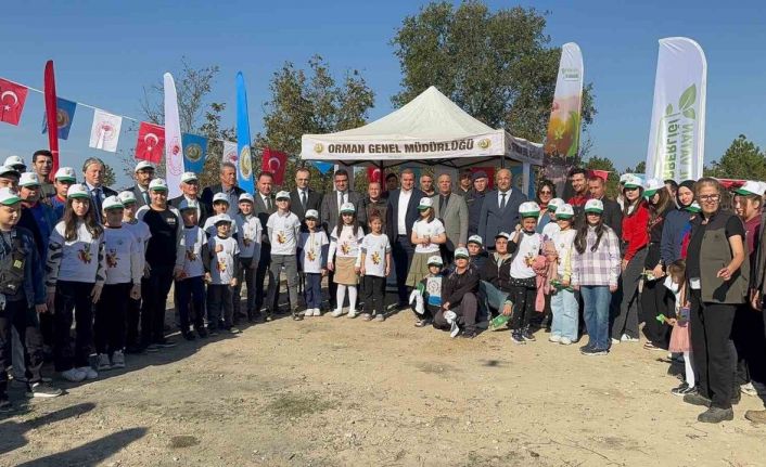 Zonguldak’ta fidan diktiler