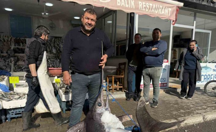 138 kiloluk kılıç balığı ilgi odağı oldu