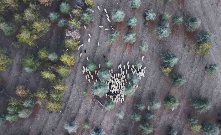 1 milyon 220 bin metrekarelik mera arazisinde "imar planı" iddiası: Müfettişler incelemeye aldı