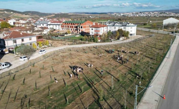 572 fidanlı koruluk Akhisan’a nefes olacak