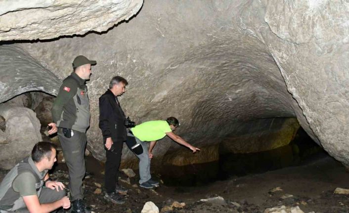 5 girişi bulunan mağara turizme kazandırılmak bekliyor