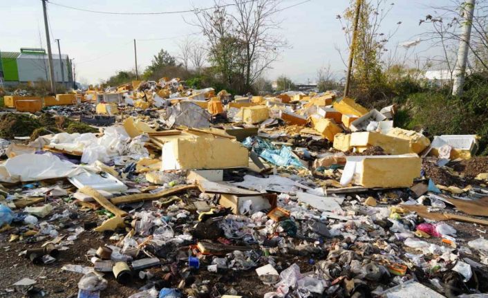 Açık hava çöplüğü: Güveç bile var