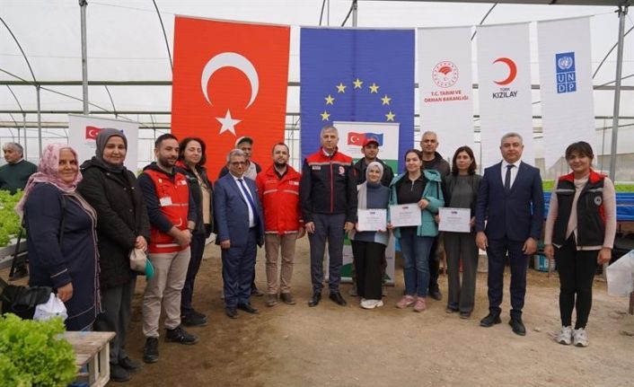 Adana’da topraksız marul yetiştiriciliği başladı