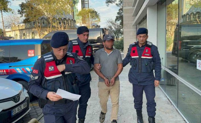 Ağaç kesimi sırasında komşusunun ölümüne sebep olan şahıs tutuklandı