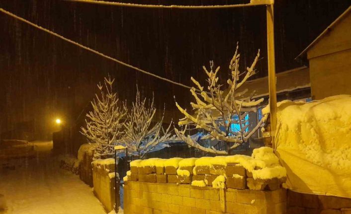 Ahlat’ta kar yağışı